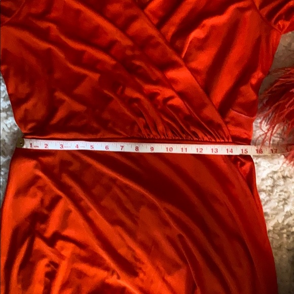 FUN VINTAGE LILLI DIAMOND Gown w Ostrich Feathers - Picture 13 of 16